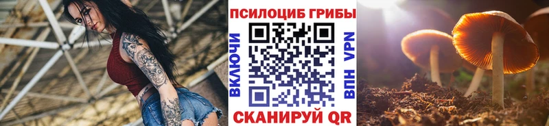 Галлюциногенные грибы Psilocybine cubensis  Зеленодольск 